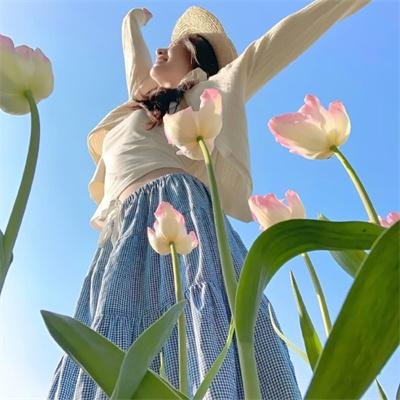 细胞分裂：死亡监视第一季